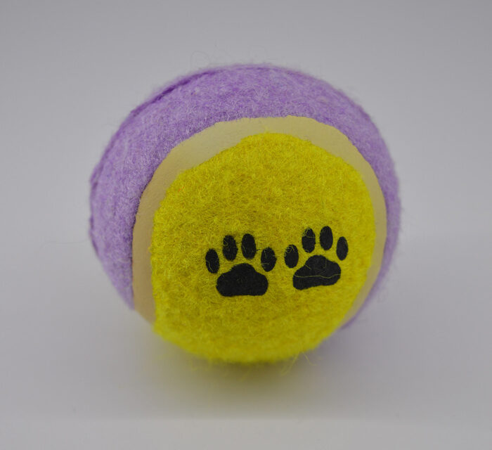 Sárga lila labda kutya játék
