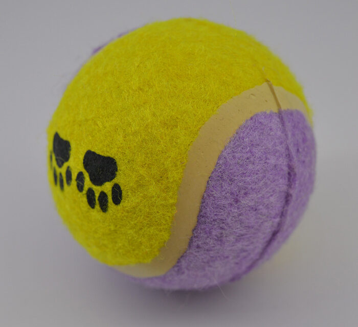 Sárga lila labda kutya játék 3
